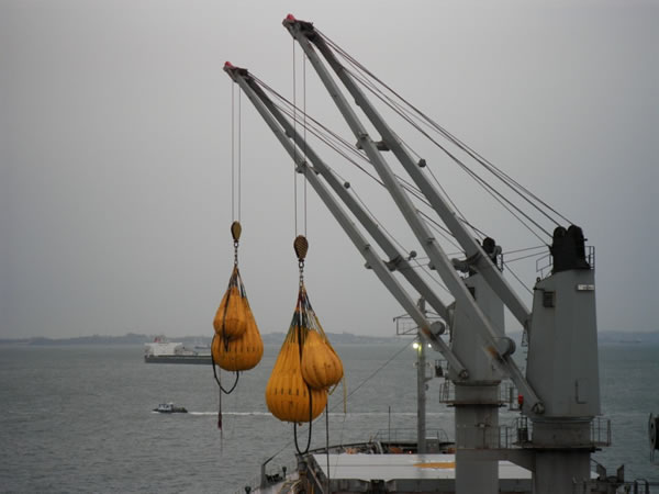 slewing ring application in ship crane تطبيق حلقة الدوران في رافعة السفينة